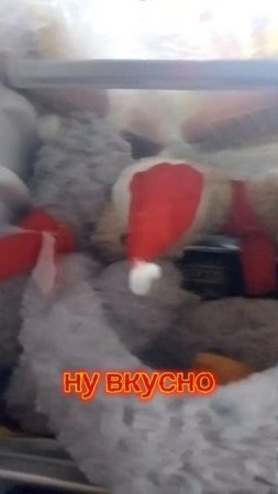 холодец