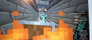 играю с другом на рили ворлд