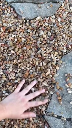 Секрет прочных дорожек, о котором молчат строители.