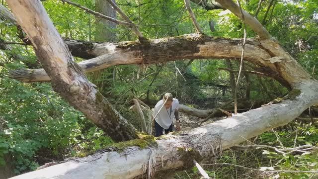 Горная река Уруп. В Мире Природы (2019) | Краснодарский край смотреть онлайн