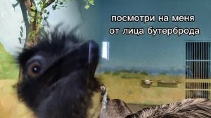 если не знаешь что посмотреть
