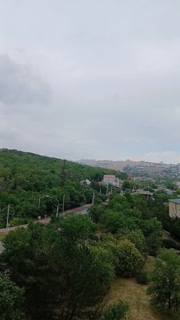 лайф жизнь 67