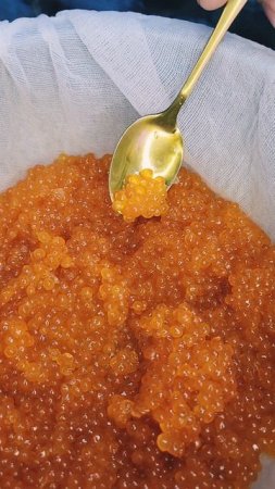 Алый жемчуг!💥Красная икра - мегасупер полезный деликатес! #nastikae #fishing #redcaviar #verytasty