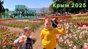 Крым в апреле 2025/Никитский ботанический сад.  Бал тюльпанов/Кафе Никитский дворик