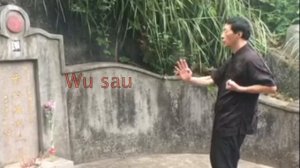 Siu Lim Tau замедленное видео