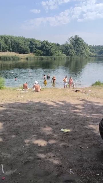 Свиньи на ставке "Батман" в Макеевке