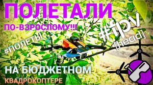 Взрослые полеты. 2025. На бюджетном не российском квадрокоптере