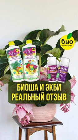 Реальный отзыв БИОША и ЭКБИ
