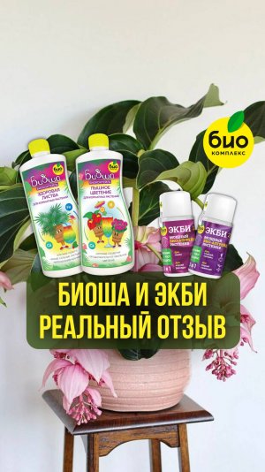 Реальный отзыв БИОША и ЭКБИ