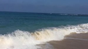 Морской берег! Видео.