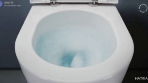 Презентация технологии PURE VORTEX в унитазах бренда Hatria (английская версия)