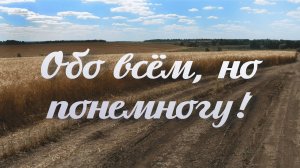 Как правильно сажать картофель на садовом участке и правильно его  хранить в городских условиях.