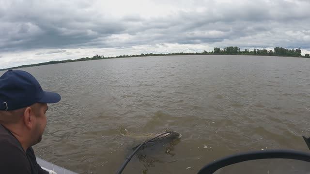 Щука 10800гр делает свечки. Обь, джиг. Рыбалка на большую рыбу. Ловим монстров. смотреть онлайн