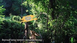 Мы делили апельсин... Хоперский заповедник