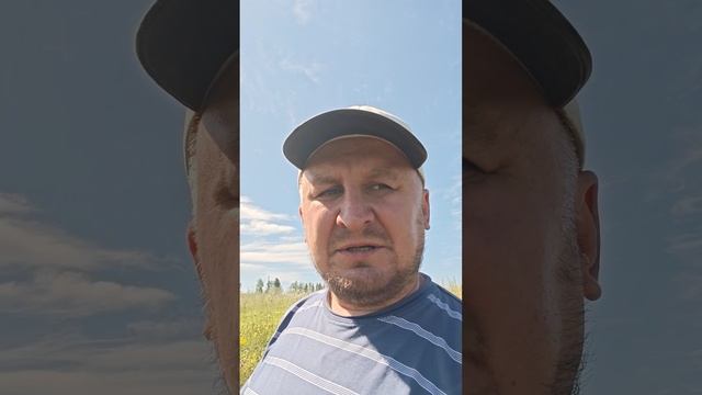 Жить поживать добра наживать