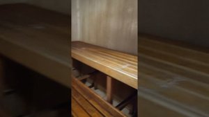 Зарядись энергией на природе: «Супер‑база Тонус» в Набережных Челнах 🌲