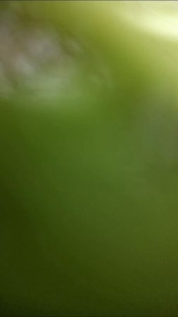 13-07-2025