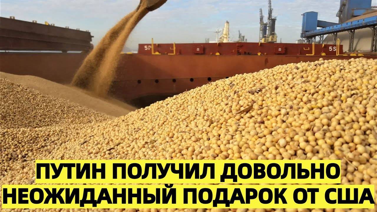 «Подарок без банта: как Вашингтон неожиданно сыграл на руку Путину»