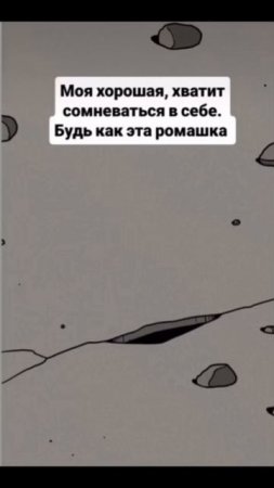 Благодарю автору видео! #воскресенье #отдых #выходной #лето #монтаж #видео #осознанность #благодарно