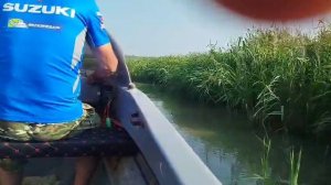 Как добраться к Долине лотосов у Голубицкой