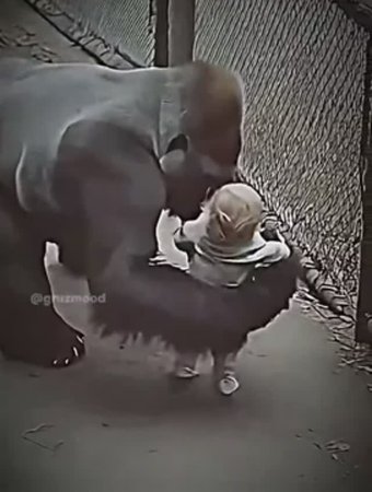 Только мать может по-настоящему понять другую мать.❤️