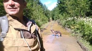 Овчарка любит принят душ на грязные лужах