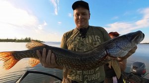 В погоне за хищником. Рыбалка на разливах озера Мелкое