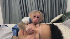 Обезьянке малышенька крошечка обнимает целует папу Спит на папе Засыпает на руках как детё Милота