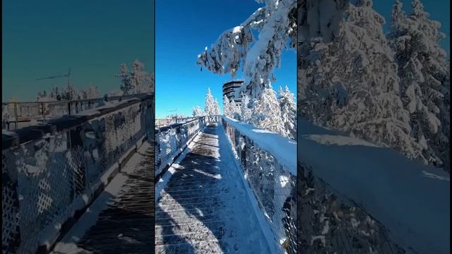Колебыль жизни, смесь континентов