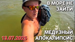 Эти существа заполонили море! #Медузы Только Батька нам поможет! Азовское море 13.07.2025 #Стрим