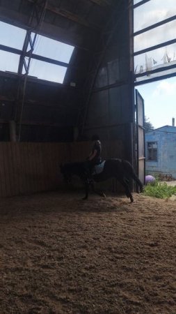 Даша и Наоми, готовимся к понистар ППДБ.