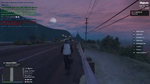 Grand Theft Auto V 2025.07.13 - 21.11.37.03