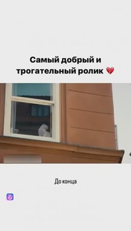 Ролик со смыслом до слез ❤️ Позвоните маме!