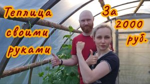 Теплица из валежника своими руками! #ДомЗаРекой