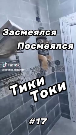 Тики Токи #17