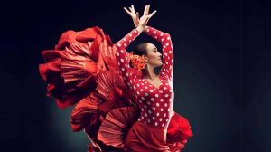 НАСТОЯЩЕЕ ФЛАМЕНКО. TABLAO FLAMENCO. Гранада