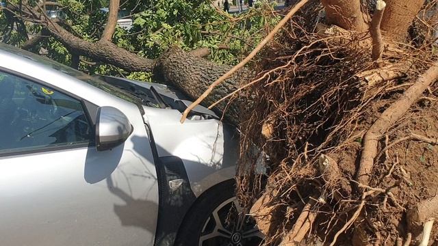 Последствия стихии 2 смотреть онлайн