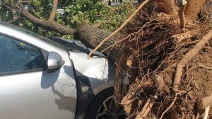 Последствия стихии 2