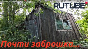 Бурьян и разруха - когда дом без хозяина