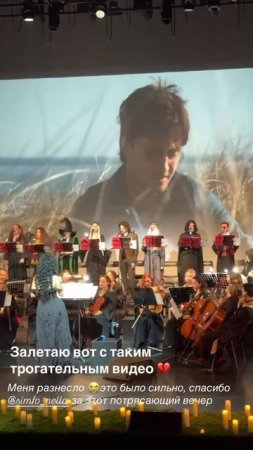NELLA MUSICA ORCHESTRA «Гарри Поттер и Симфомультимедия»