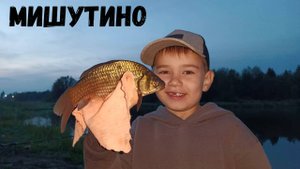 Разведка в Мишутино