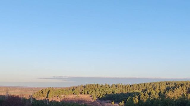 Лес