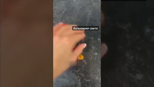 Гоев и шикСов, кормят..............