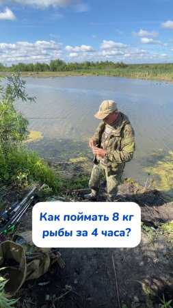Чудо-паста BRANDFREE

Артикул на WB #234577722
Ozon #1664064287

Приятный запах