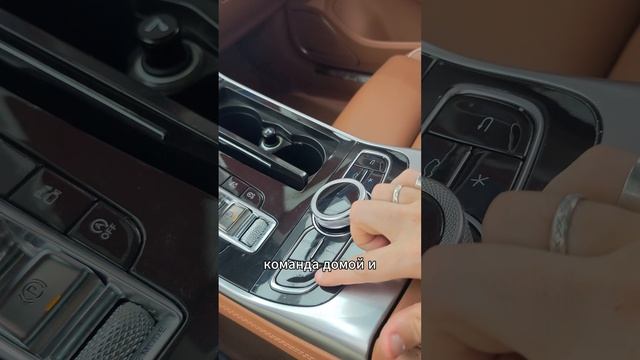 Hongqi H9