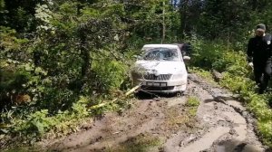 На пихтач на моноприводе. Часть 1.