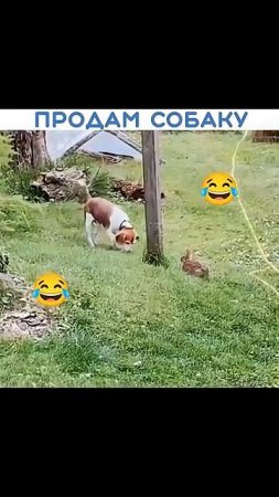 🤣Охотник от Бога👍