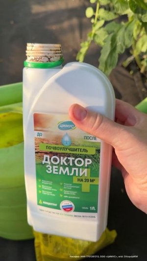 В ИЮЛЕ ПОЛЕЙ ТАК ТОМАТЫ, ПЕРЦЫ, ОГУРЦЫ, чтобы они НАЛИЛИСЬ СТАЛИ КРУПНЫЕ И СЛАДКИЕ #огород #сад