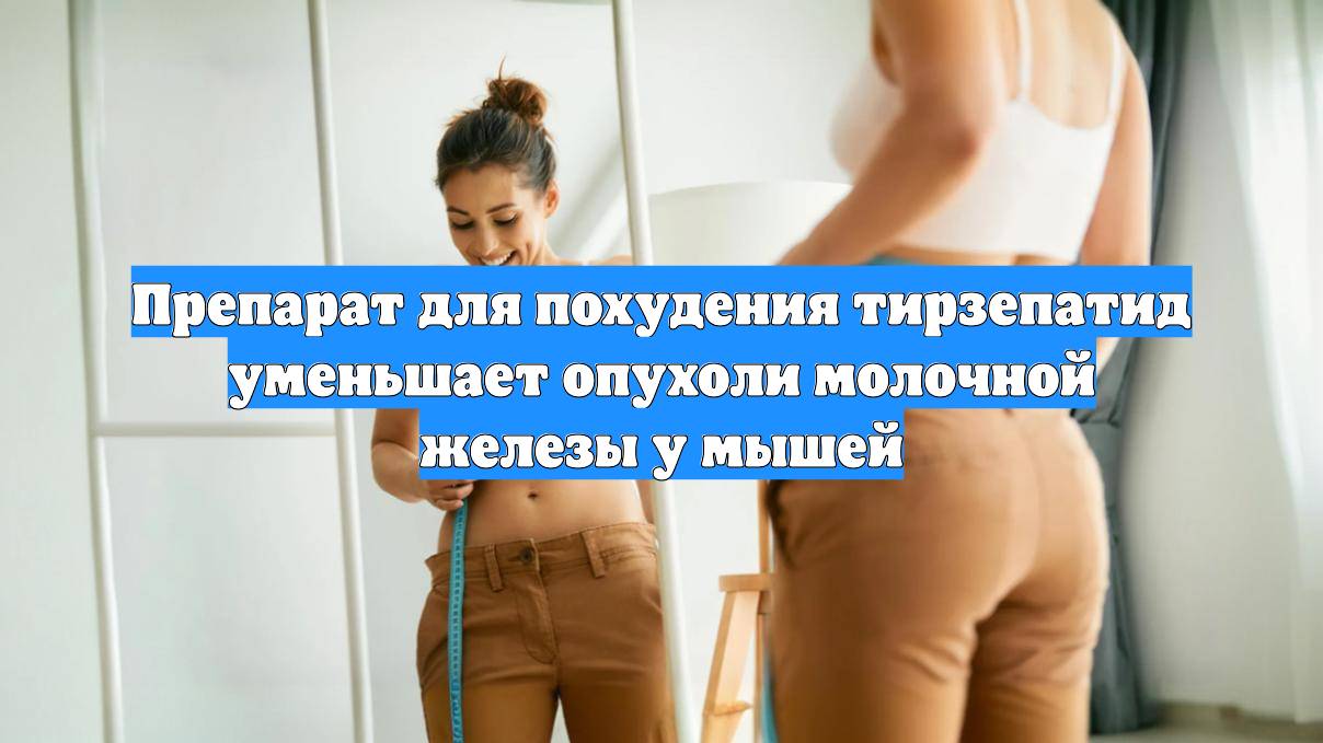 Препарат для похудения тирзепатид уменьшает опухоли молочной железы у мышей смотреть онлайн