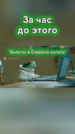 Годовщина свадьбы у Лягушек #юмор #видео #лягушка